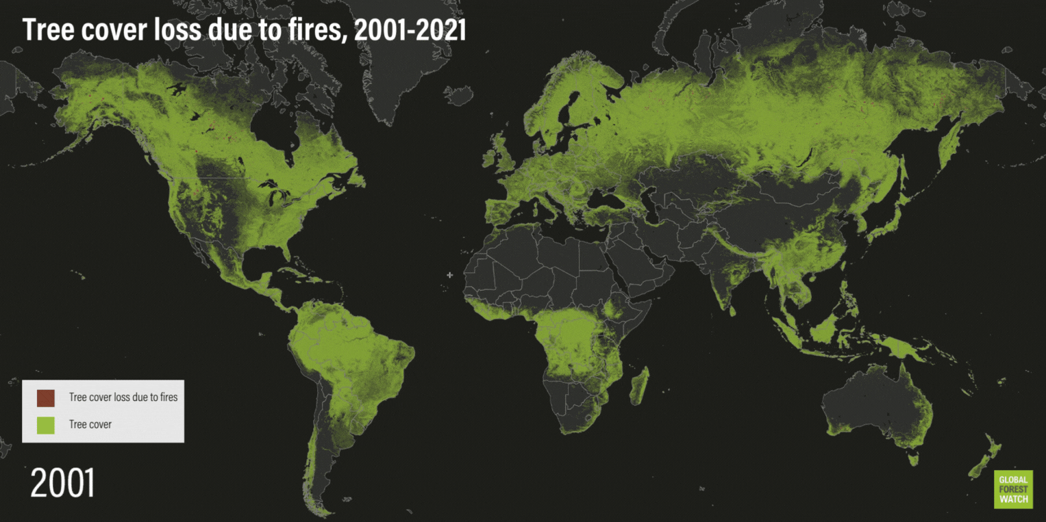 World map of tree cover loss from forest fires over time (2001-2021)