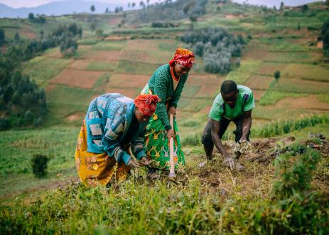 In Rwanda, women’s cooperatives organize farmers to both improve agriculture and the environment. 