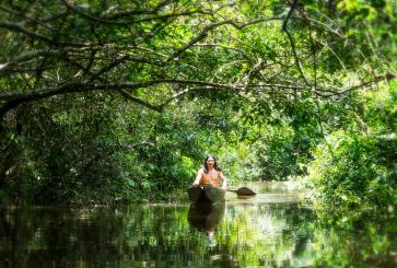 Man in a canoe in Ecuador's Amazon forest