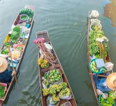 food-floating-market