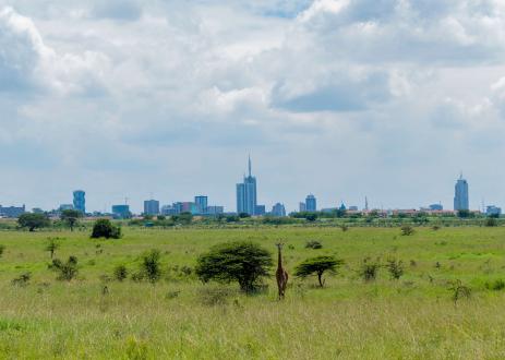 nairobi-skyline-park