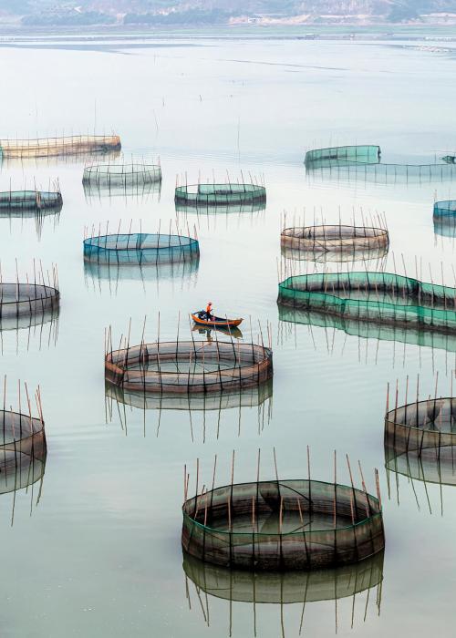 ocean-fish-farming