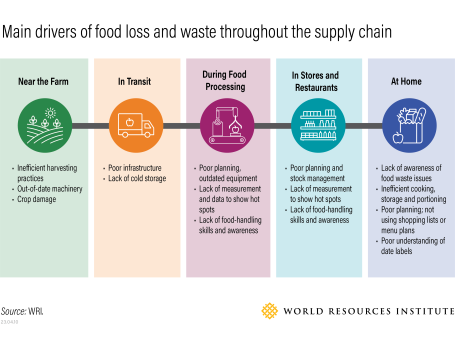 Timeline of the food supply chain showing major drivers of food loss and food waste at each stage.