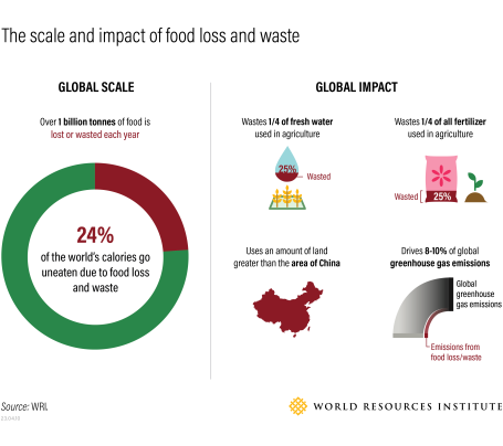 Infographic showing that 24% of the world's food supply goes uneaten, with major impacts on the environment and economy.